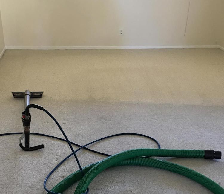 Carpet cleaning results