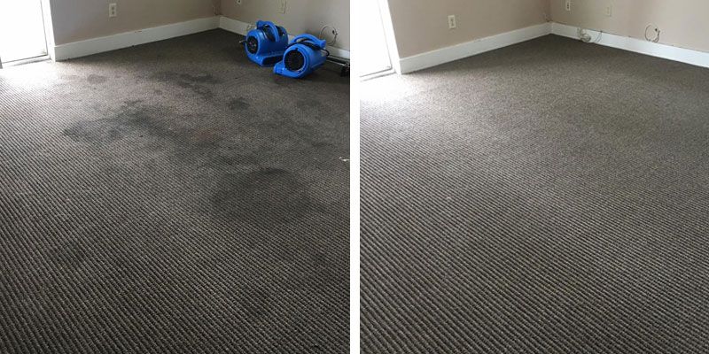Carpet Cleaning Before and After in Alhambra