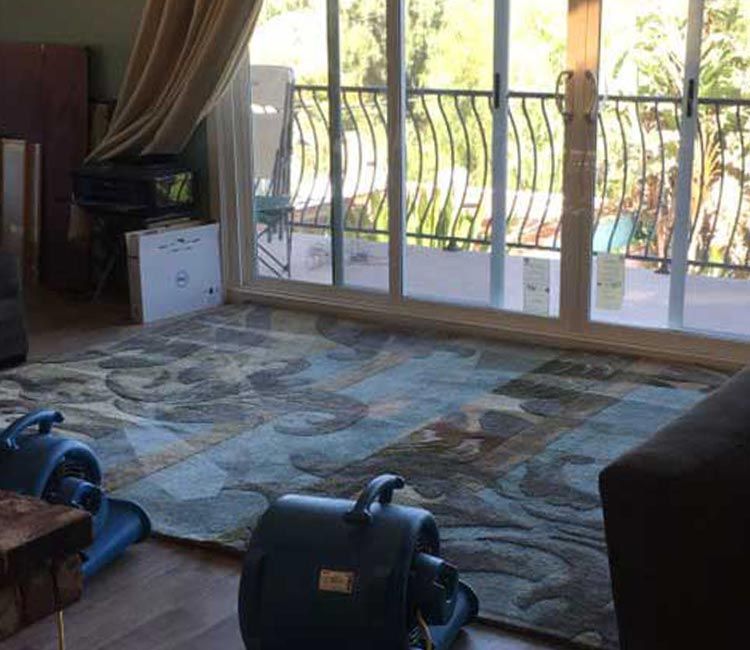 Rug Cleaning Service
